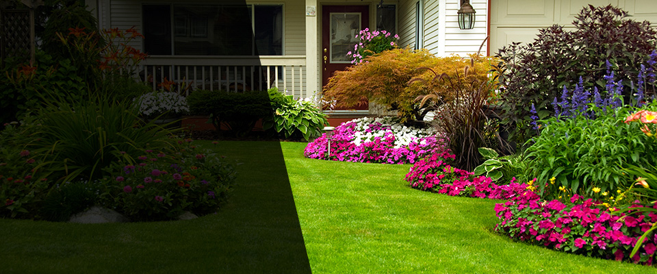 Bayside Landscapers
