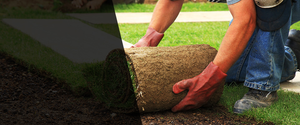 Bayside Landscapers